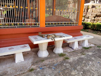 Wat Ku Phra Kona