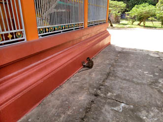 Wat Ku Phra Kona